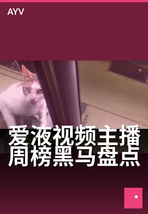 爱液视频主播周榜黑马盘点 - 新晋主播流量飙升内幕-爱液视频