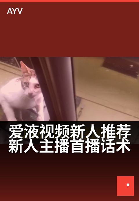 爱液视频新人推荐新人主播首播话术 - 萌新首秀,今夜甜蜜开场-爱液视频