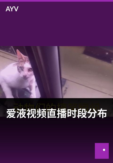 爱液视频直播时段分布 - 不同时段直播流量分布观察