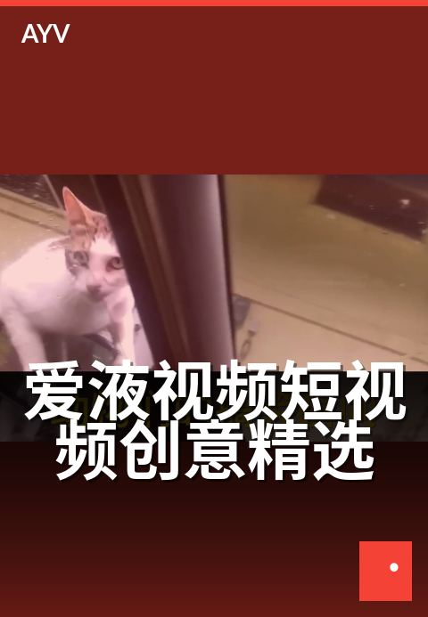 爱液视频短视频创意精选 - 精选短视频创意,捕捉灵动生活瞬间-爱液视频