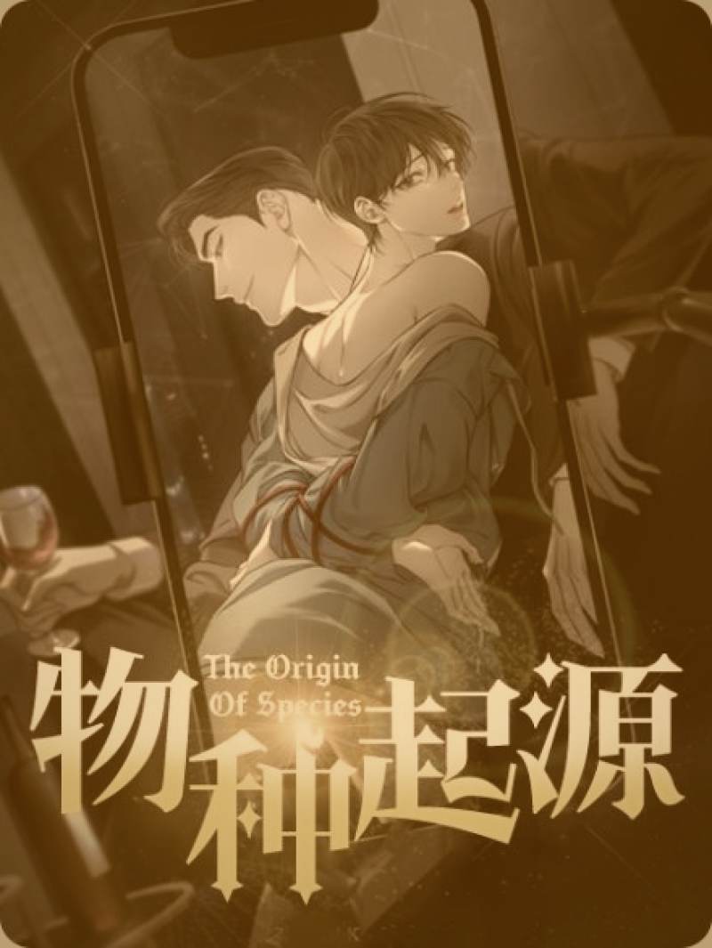 创作者中心互动运营界面